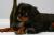 Matilde