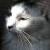 Seamus