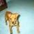 Monty