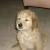 Finnegan 2008
