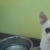 .Lola.™