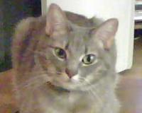 Athena