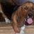 WALTZING MATILDA (TILLY)