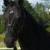 My Shadow
