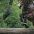 Ringwood Ventura
