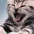 President Kitty