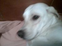 MARTINA