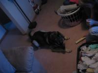 Lucy
