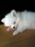 Tiny