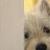 Kanye Westie