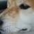 Keiko