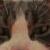 Linus
