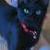 Kitty Emily
