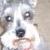 Roxie