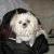 Macy Poo Pie