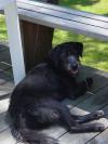 Bailey