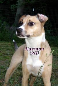 Kaemon