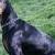Onyx