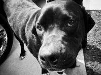 Barnaby
