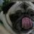 Clarence Merriwether Barkington