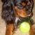Charlie
