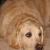 Murphy