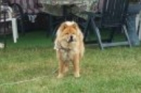 Rowdy Bampton