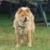 Rowdy Bampton