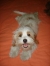Princesa !!!