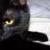 Mischa/Princess Peeface/Miss HissPiss
