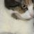 Kiley