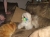 Tucker ( Tiny ) Hayes