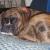Roxy