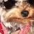 Izzie