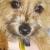 Eddie