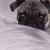 Gus