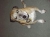Holly
