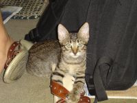 Chloe!