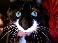 Ms. Musette Biggelsworth