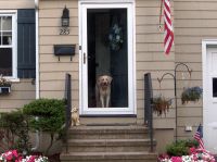 Grady