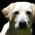 Leopoldo