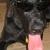 Tucker