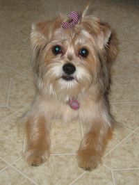 Pepper