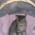 Peanut