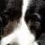 Sampson
