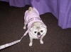 Susie