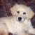 Bailey