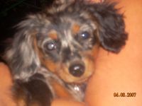 Meisha