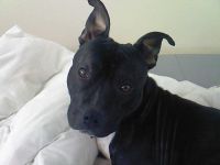Lennox