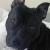 Lennox